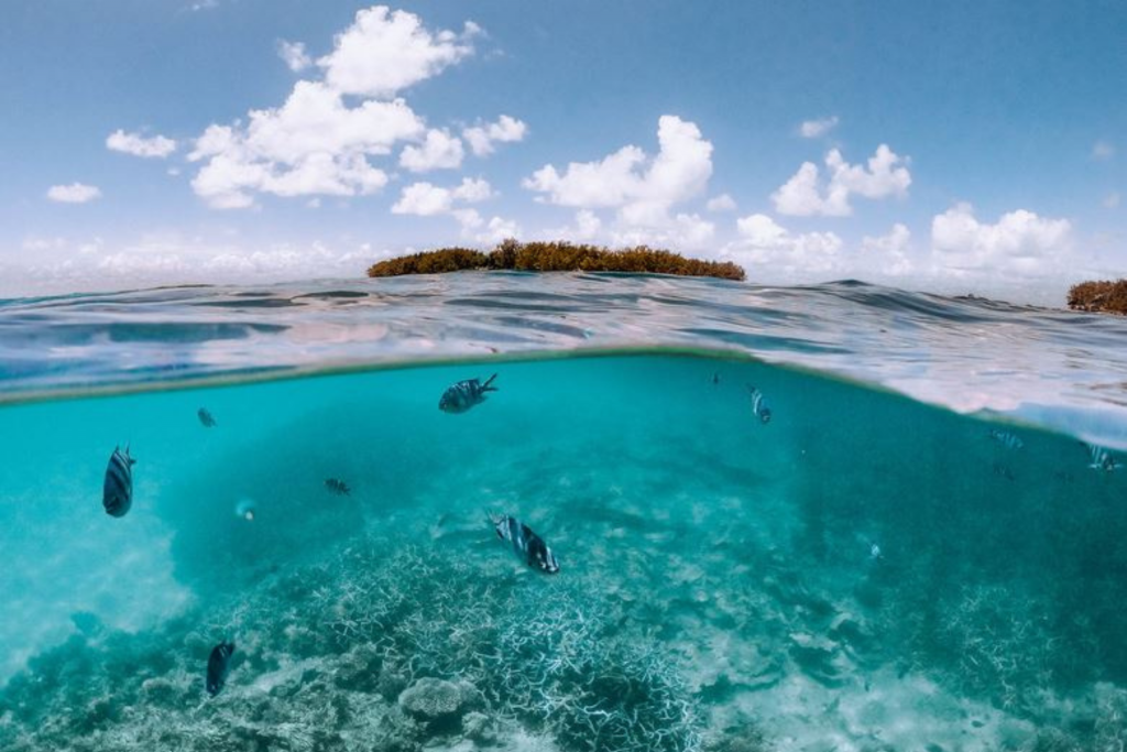 ILE DES DEUX COCOS